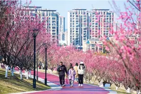 摆脱“房地产依赖”怎么把城市建好？安徽“副中心”正在探路图片