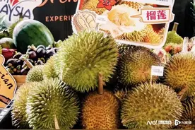 不止榴莲！暑期到槟城，特色美食、文艺盛事、研学体验全都有图片
