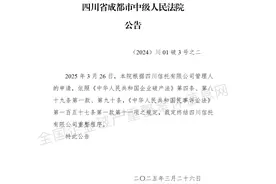 四川信托：成都中级人民法院裁定终结公司重整程序图片