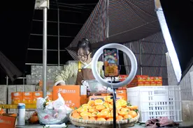拼多多2023年实现营收2476亿 助力品质好物与消费升级双向奔赴图片
