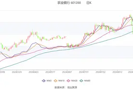 农业银行：2024年上半年净利润同比增长2.00% 拟10派1.164元图片