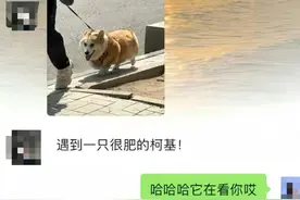 “你的分享欲太强了，好像影响了我们的感情……”图片