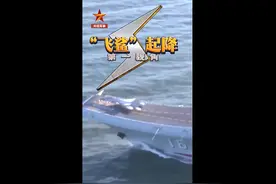 掠海飞行！第一视角感受“飞鲨”起降超燃现场图片