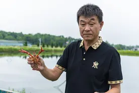 我县小龙虾市场火爆 一基地日销3400斤！图片