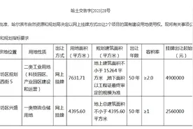 哈尔滨两宗土地挂牌出让图片