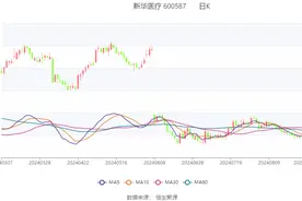 新华医疗：2024年上半年净利润4.84亿元 同比增长5.57%图片