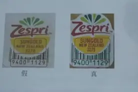 普通猕猴桃变身“佳沛”身价暴涨，如何才能买到正品？图片