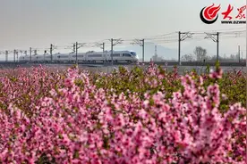 打头阵当先锋  奋力打造乡村振兴齐鲁样板先行区——青岛西海岸新区扎实推进乡村全面振兴纪实图片