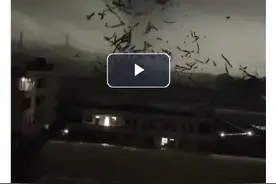广州为何出现强龙卷和大冰雹图片