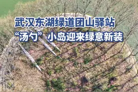 武汉东湖绿道团山驿站，“汤勺”小岛迎来绿意新装图片