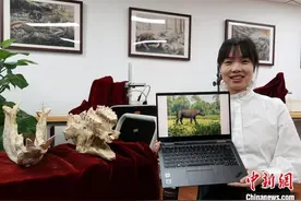 中国西北首次发现近无角犀化石 推测1700万年前仍有温暖湿润环境图片