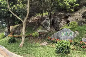 云浮这个镇打造“人大主题公园”有这些亮点图片