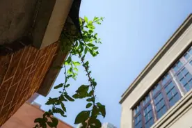 除了火爆出圈的李白故居，上海还有这些里弄藏着激动人心的红色故事图片