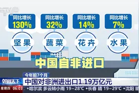 贸易往来日趋紧密 中国⇌非洲一路“双向奔赴”图片