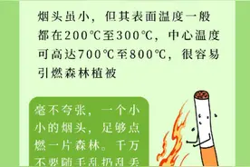 春节将至，这些森林防火小知识请牢记！图片