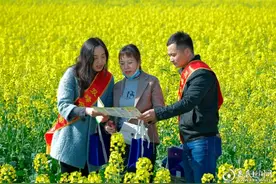 双峰金融监管支局：油菜花海话权益 金融护航助消费图片