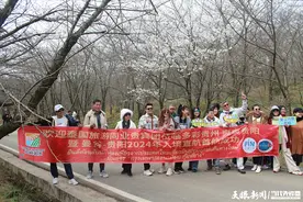 直达粉色春天！贵州2024首个泰国入境商旅团打卡贵安樱花园图片