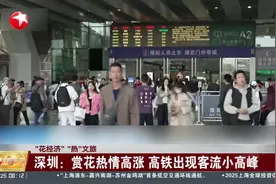 “花经济”“热”文旅 深圳：赏花热情高涨 高铁出现客流小高峰视频封面