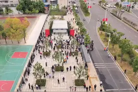 武汉地铁运营里程突破500公里图片