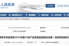 【山东】无棣县市场监管局2023年第51批产品质量监督抽检结果（流通领域烟花爆竹）图片