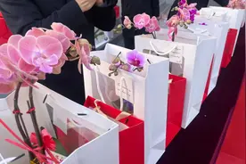 西安市五环中学开展庆祝国际三八妇女节主题活动图片