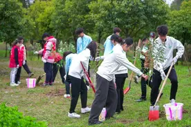 从大运会到世运会 成都“小青椒”志愿者植树节共护志愿者林图片