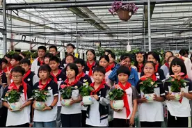 快乐研学，让崇明孩子健康成长图片
