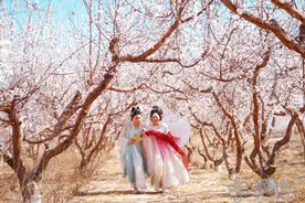 如何撬动“花海经济”——新疆推进花卉业高质量发展调查图片