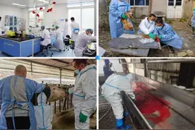 济南市动物疫病预防与控制中心开展2024年世界兽医日系列主题活动图片