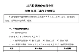 三只松鼠2024年前三季度业绩大幅预增图片