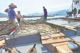 耕海牧渔，“福海粮仓”渔歌嘹亮图片
