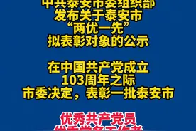 泰安市“两优一先”拟表彰对象公示（含差额，按单位顺序排列）图片