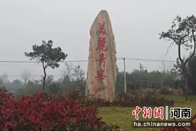 河南固始：以文化描绘乡村新图景、新生活图片
