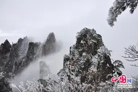 只有一个黄山：白雪雾凇云海 此时如诗如画图片