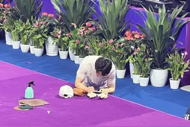 “太糗啦”也圈粉！韩国体操运动员的笑容迷倒现场观众图片