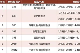 返程高峰！海南高速公路这样走更顺畅→图片