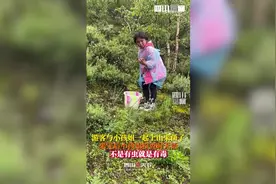 小孩姐严格把关！游客采一桶蘑菇就3个杆杆能吃图片