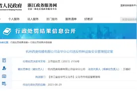 杭州西奥电梯有限公司金华分公司违反特种设备安全管理规定案图片