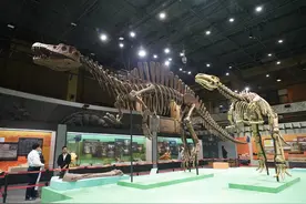 国家自然博物馆新展迎参观热潮，还原广西恐龙动物群图片