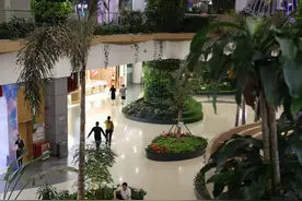 广州“藏”了这么多公园式商场！一场“空间即服务”的转变图片