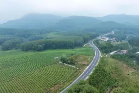 新春走基层丨白沙：路网织密，开启新征程图片
