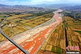 青海“柴达木粮仓”都兰实现农业丰收 农民增收图片