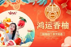 水稳底基层试验段完成！玉林这条高速有新进展图片