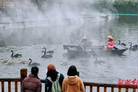 飞鸟乐园涨知识图片
