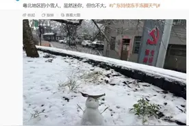 广州迎十年来最冷冬至，今日最低温仅3℃图片