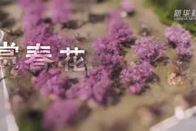 移轴带你看春天｜赏春花、趣春游，在山间田野赴一场春日之约!图片
