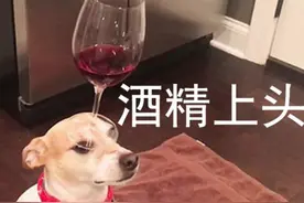 3·15在行动｜解酒糖能解酒？查处！图片