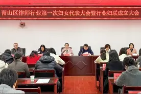 武汉首家！青山区律师行业妇联成立图片