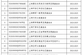 上海市公益性社会组织捐赠税前扣除资格最新名单公布图片