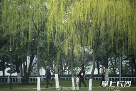 春天的橘子洲能有多美图片